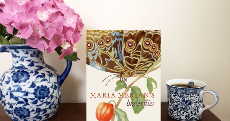 Maria Merian’s Butterflies by Kate Heard